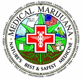 Cannabis Medicinal: Não lemos e não-gostamos? Cannabis Medicinal: Não lemos e não-gostamos?