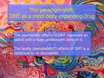 DMT entre a vida e morte DMT entre a vida e morte